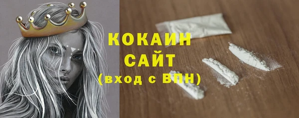 apvp Горняк