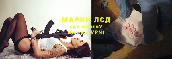 apvp Горняк