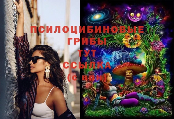 apvp Горняк