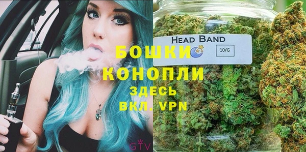 альфа пвп Горнозаводск