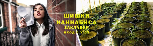 apvp Горняк