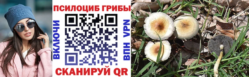 наркошоп  Рузаевка  Галлюциногенные грибы прущие грибы 
