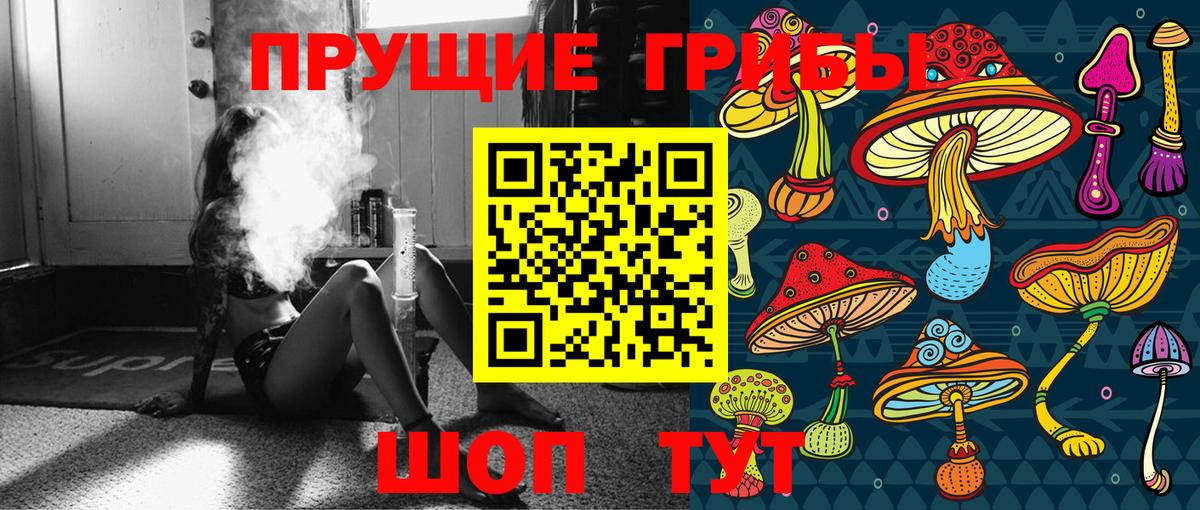 Псилоцибиновые грибы Psilocybine cubensis  Псилоцибиновые грибы Psilocybine cubensis  Рузаевка 