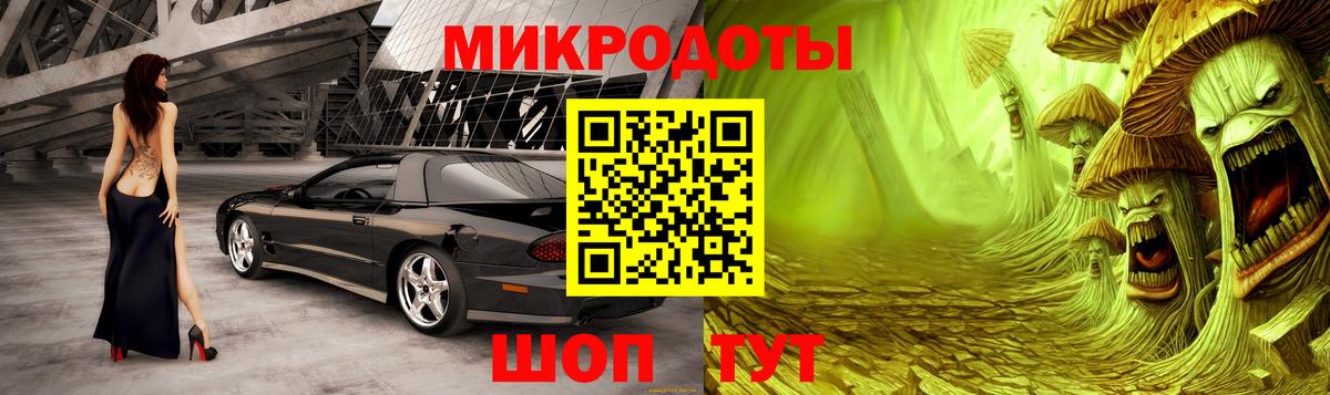 Псилоцибиновые грибы Psilocybine cubensis Рузаевка